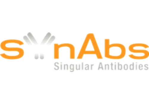 SynAbs