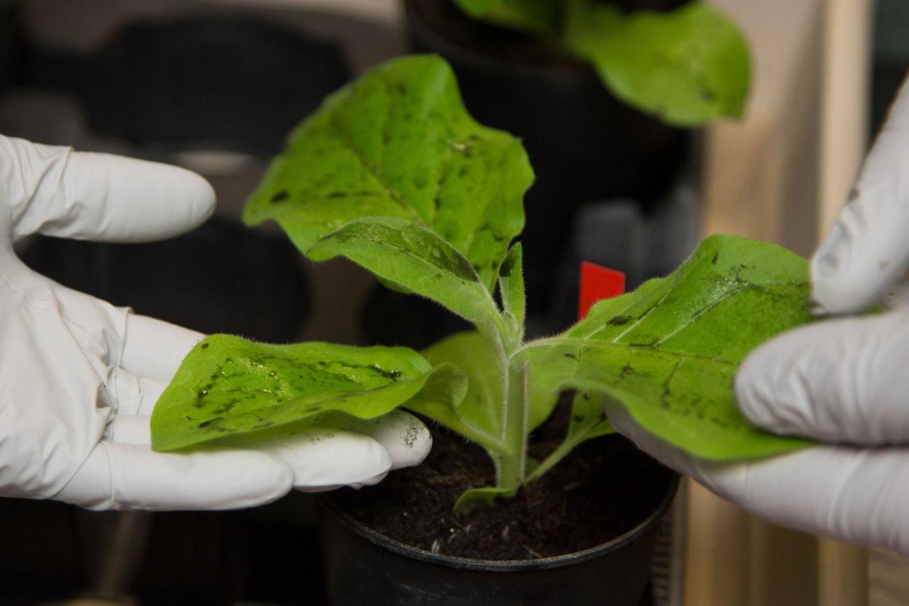 Biotech company SwiftPharma receives capital injection to achieve ambitious growth