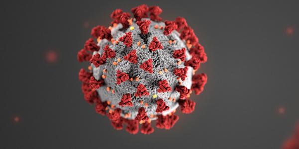 VIB announces complete development of COVID-19 antibody, and its effectiveness against new variants