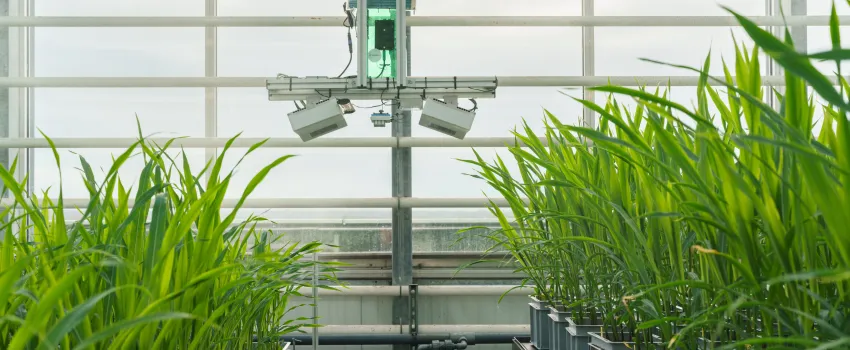 photo credit to Aphea.Bio