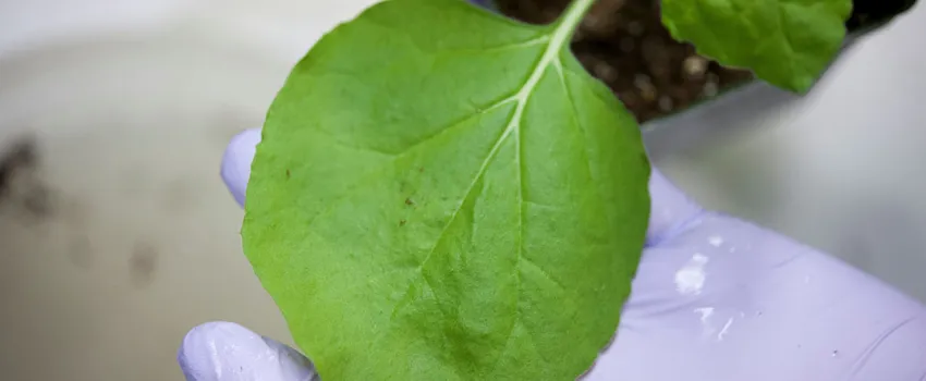 SwiftPharma to Join Groundbreaking €41 Million PharmECO Project.