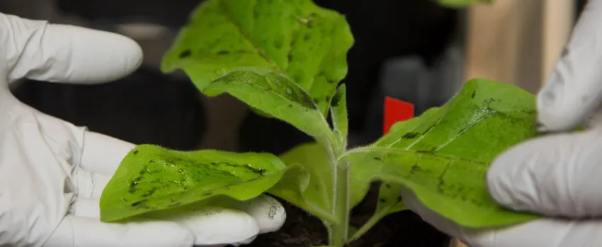 Biotech company SwiftPharma receives capital injection to achieve ambitious growth