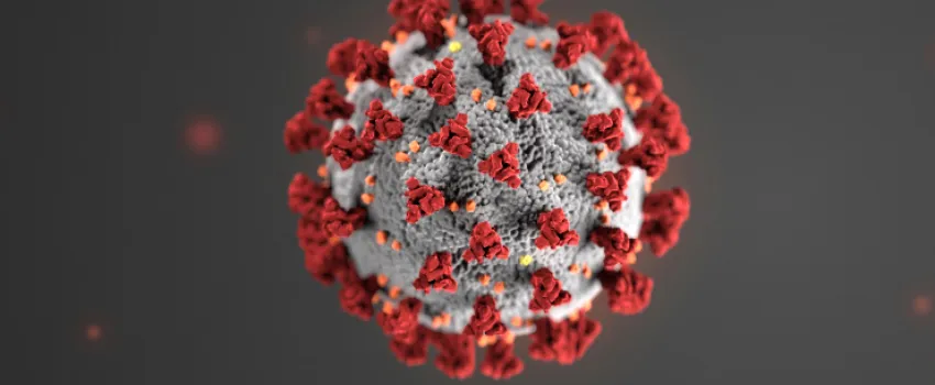 Covid-19: Overzicht federale en Vlaamse steunmaatregelen voor life sciences ondernemingen