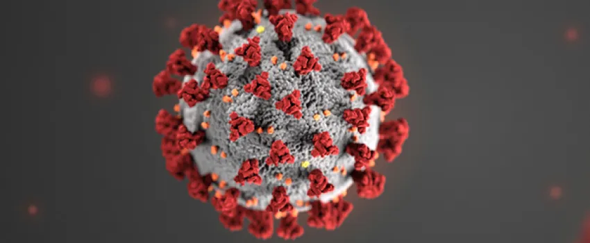 VIB announces complete development of COVID-19 antibody, and its effectiveness against new variants